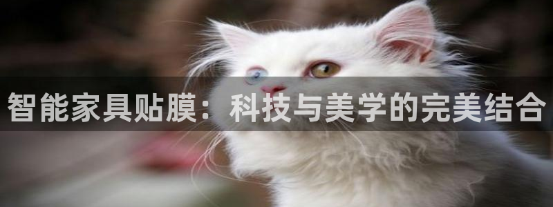 安信12平台下载