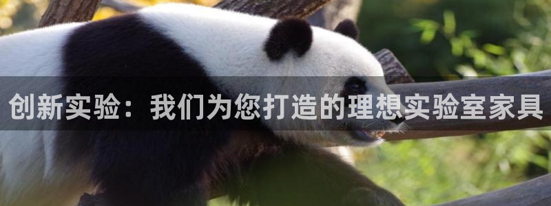 安信12是正规还是仿