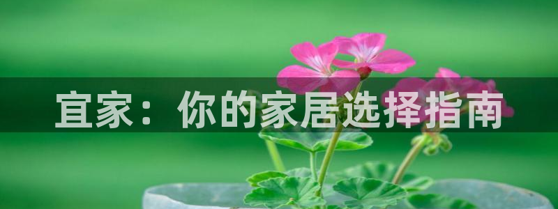 安信12如何开代理