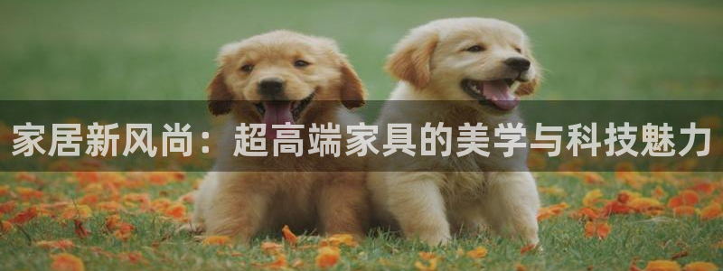 安信12注册登录平台