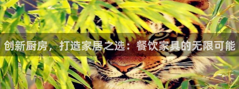 安信12平台怎么样