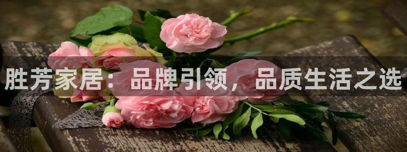 安信12平台官网