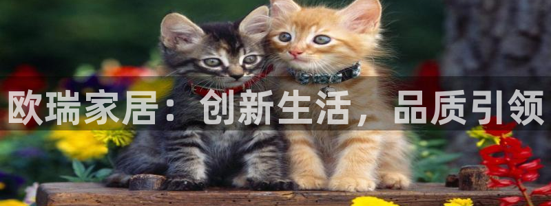 安信12注册代理