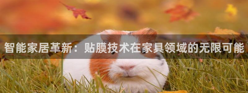 安信12娱乐代理