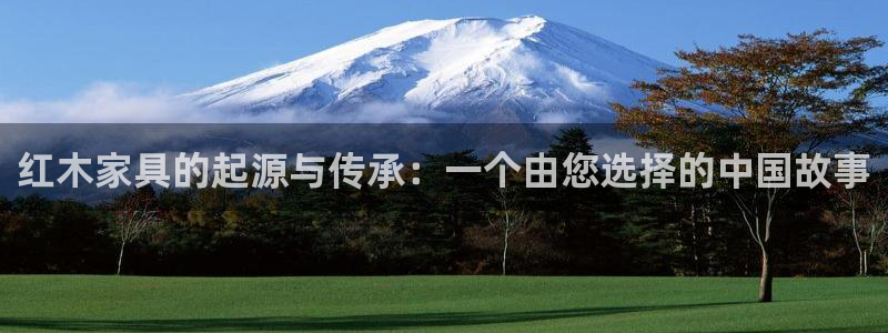 安信12代理