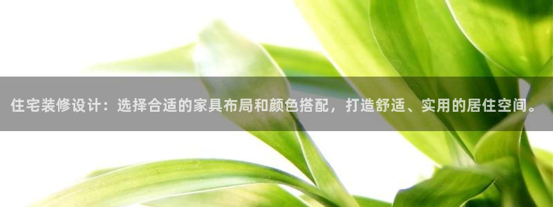 安信安翼 12账号