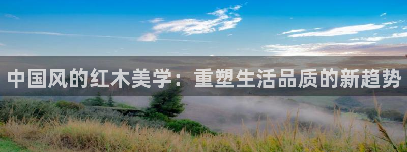 安信可esp-12