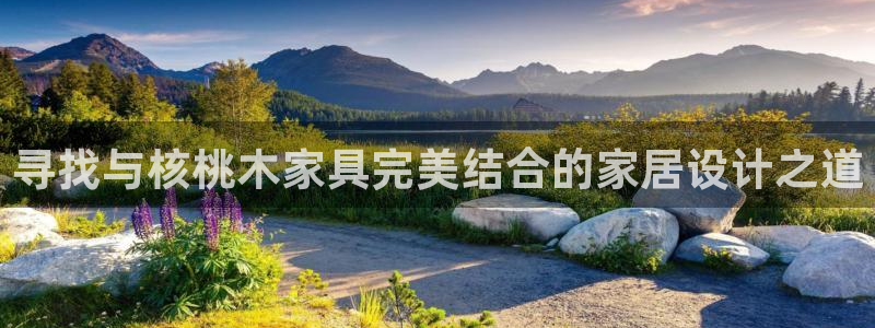 下载安信12
