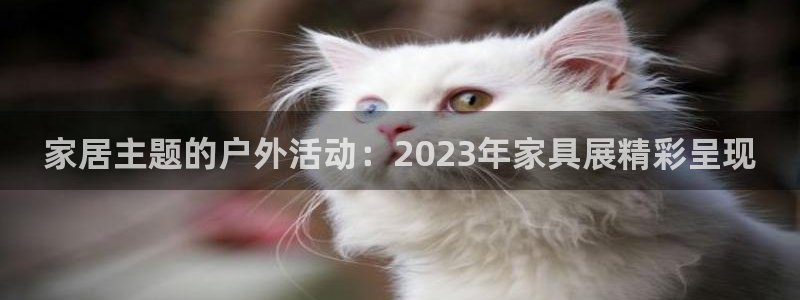 安卓12微信