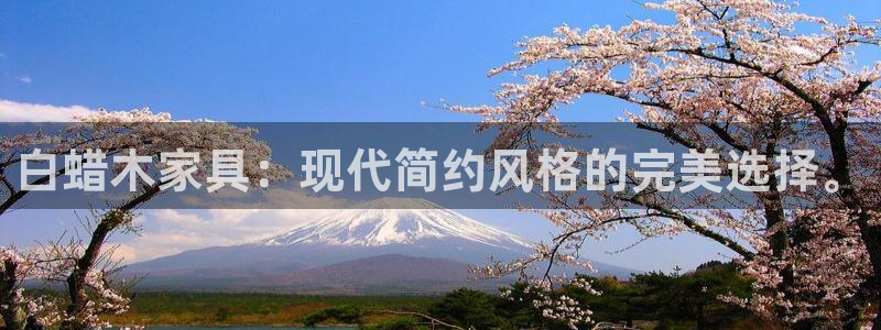 安信12是正规平台吗