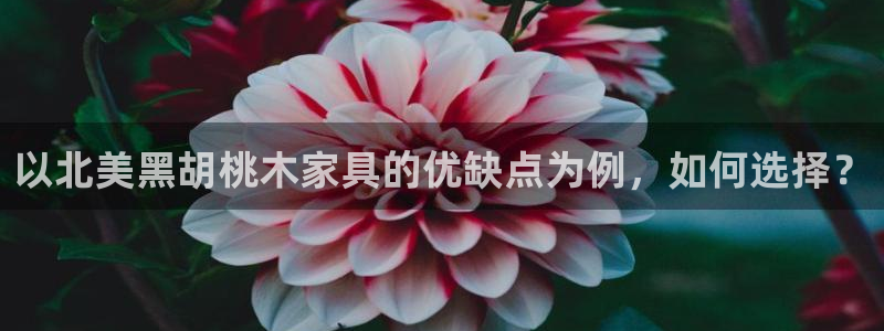安信12专用挂机