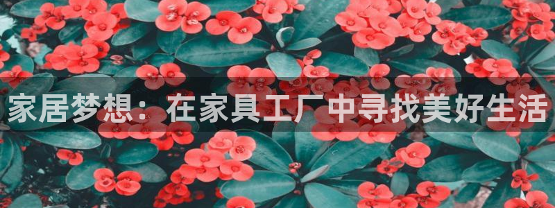 安信12彩票