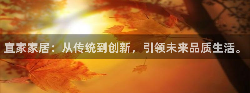 安信12正版下载