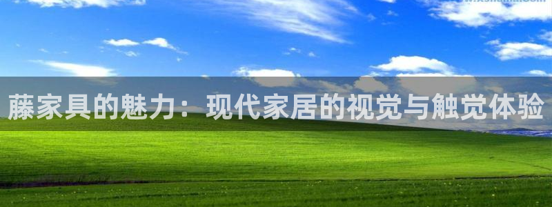 安信12主管