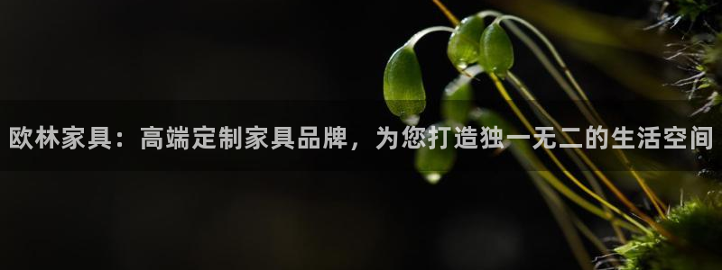 安信12下载