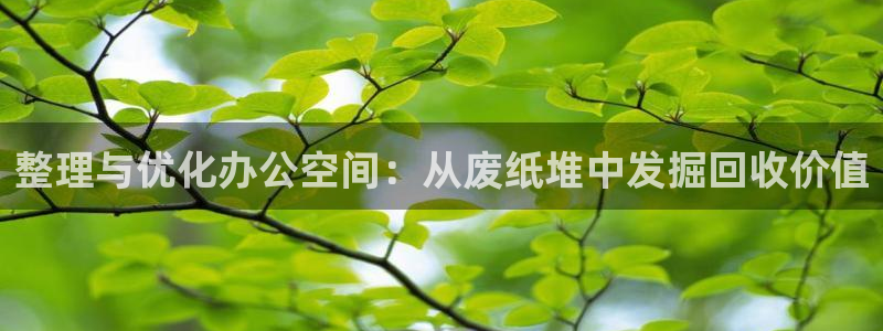 安信12包赔