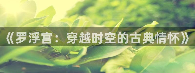 安信12app