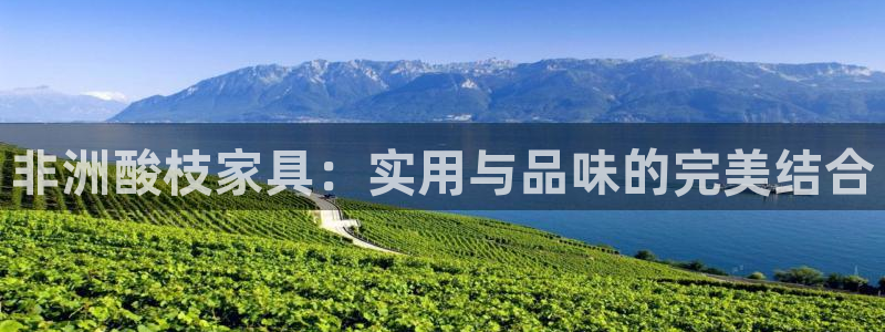 安信12娱乐登录：非洲酸枝家具：实用与品味的完美结合