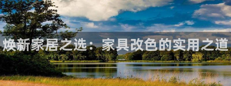 安信可 esp-12：焕新家居之选：家具改色的实用之道