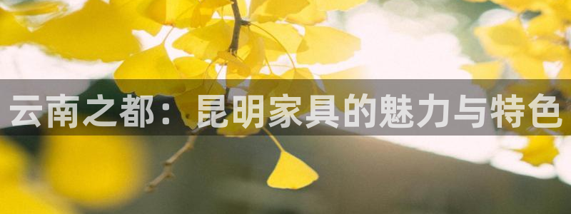 安信娱乐12登录地址