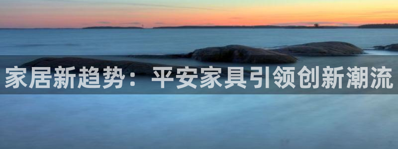 安信证券手机壳12