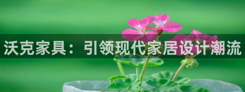 安信12是什么软件