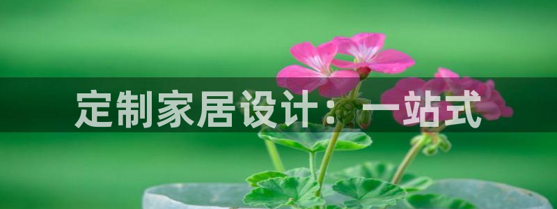 安信12是什么软件