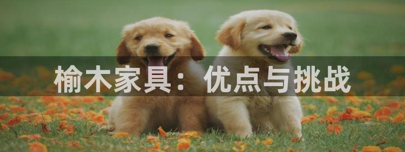 安信12娱乐7o777还