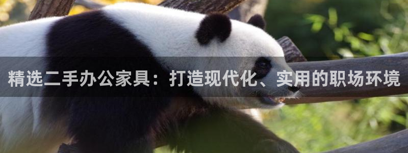 安信4娱乐去55 12