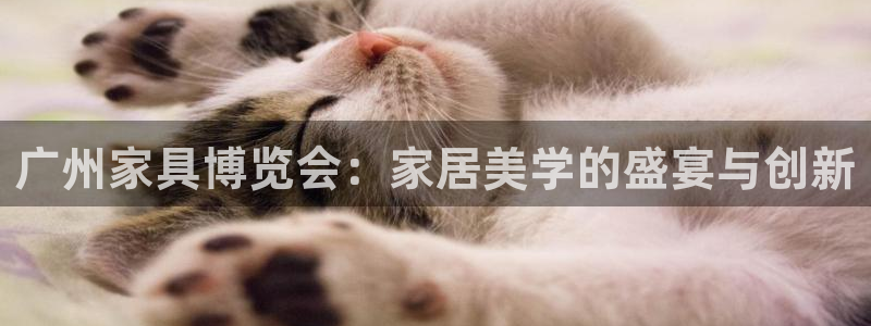 安信12位资金账号