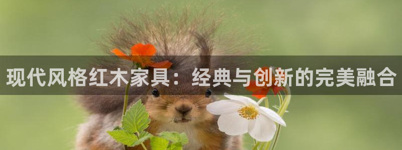 安信主管ke金12手12指ho