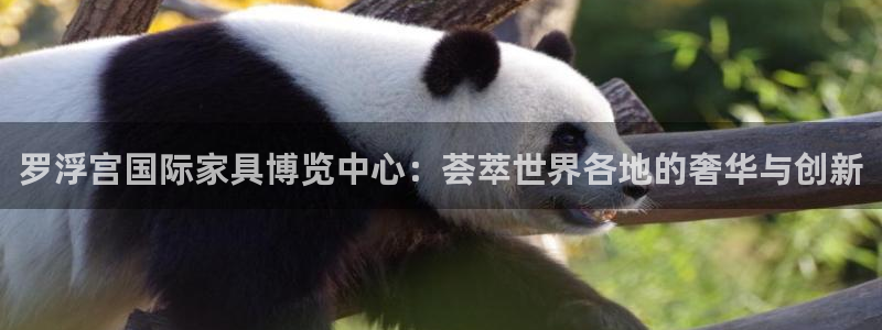 安信12软件介绍