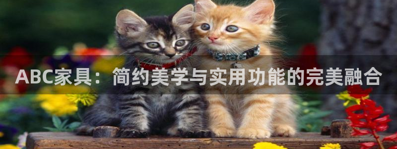 安信安盈12最新消息