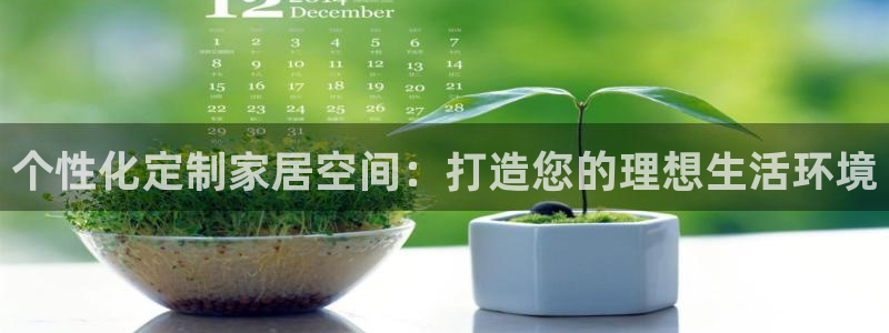 安信安盈12最新消息