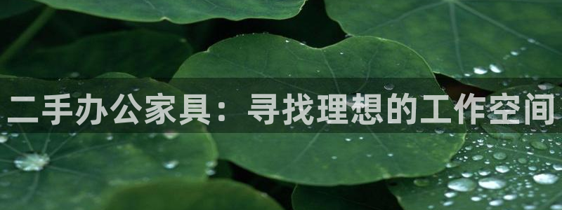 安信娱乐12登录地址