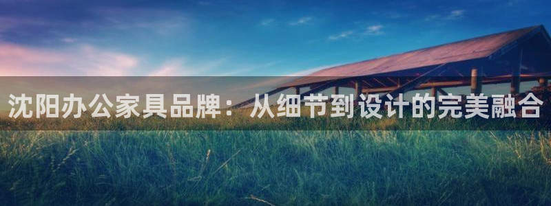 安信12是正规还是仿