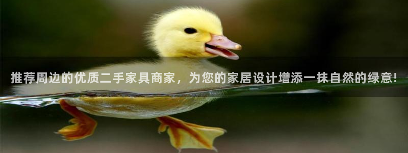 安信12周年庆典