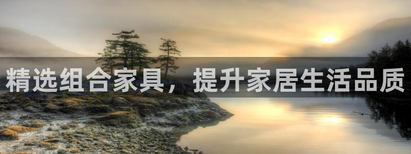 安信12是啥：精选组合家具，提升家居生活品质