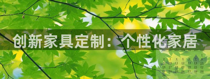 如何注销安信12软件：创新家具定制：个性化家居